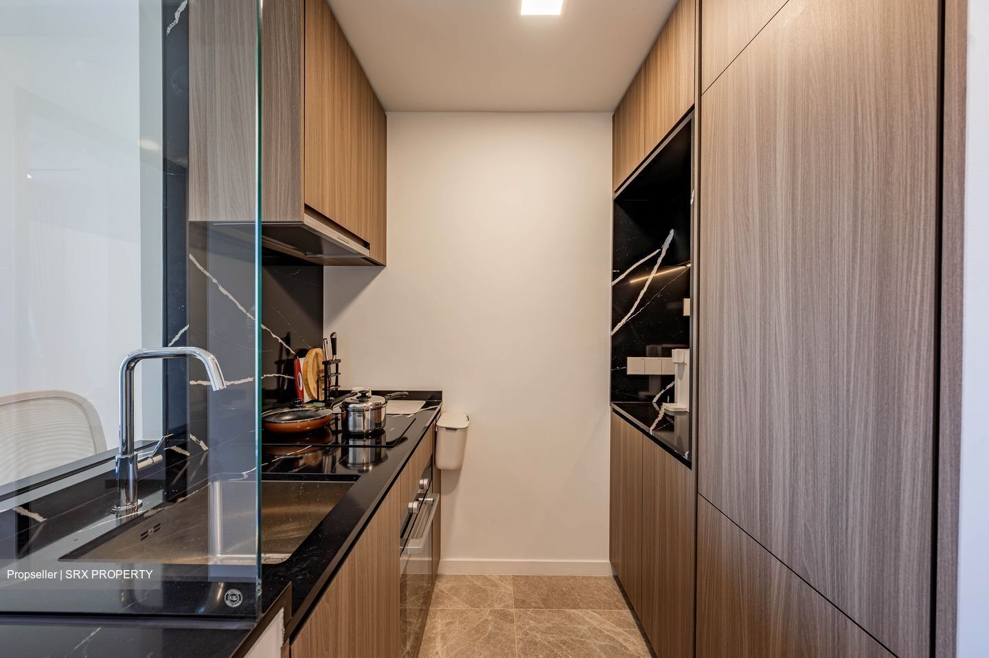 Irwell Hill Residences (D9), Apartment #585012821